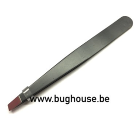 Tweezers and scalpel