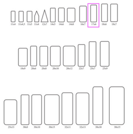 Insect labels 17x6mm (100p) 