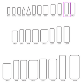 Insect labels 18x6mm (100p) 