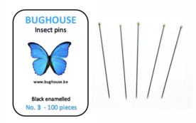 BUGHOUSE Insect pins NR-3 (100 pieces) black rust proof steel 