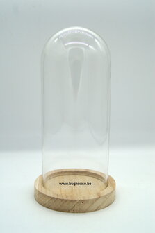 Bell Jar H20cm D10cm