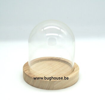 Bell Jar H10cm D10cm