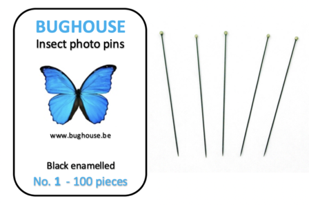 BUGHOUSE Insect Photo pins NR-1 (100 pieces) black rust proof steel 