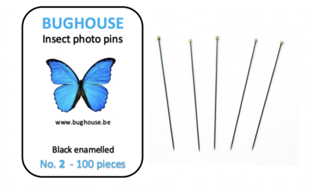 BUGHOUSE Insect Photo pins NR2 (100 pieces) black rust proof steel 