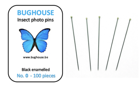 BUGHOUSE Insect Photo pins NR-0 (100 pieces) black rust proof steel 