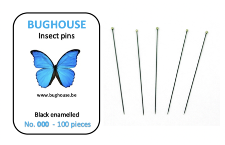 BUGHOUSE Insect pins NR-000 (100 pieces) black rust proof steel 