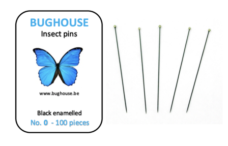 BUGHOUSE Insect pins NR-0 (100 pieces) black rust proof steel 