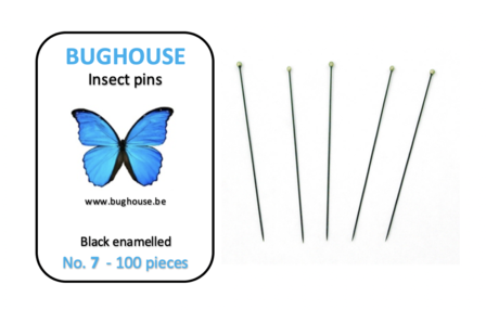 BUGHOUSE Insect pins NR-7 (100 pieces) black rust proof steel 