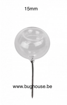 Glass Fumigant for liquid or Camphor 15mm