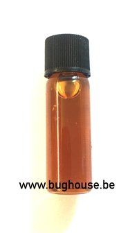 Bughouse butterfly wing repair glue