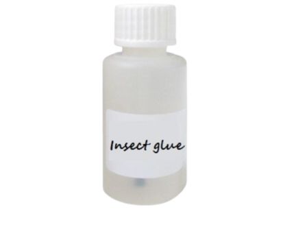Taxidermy insect glue brush bottle