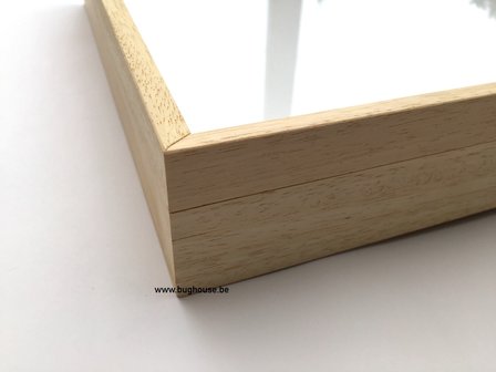 Museum insect box 30x40cm