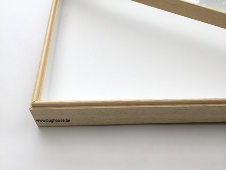 Museum insect box 30x40cm