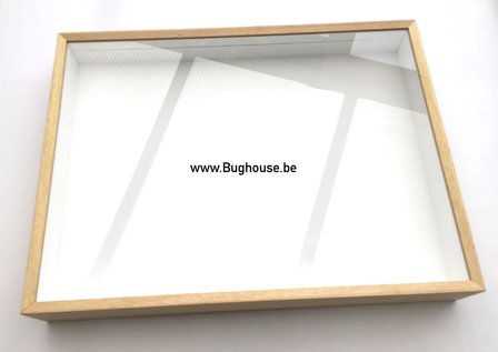 Museum insect box 30x40cm