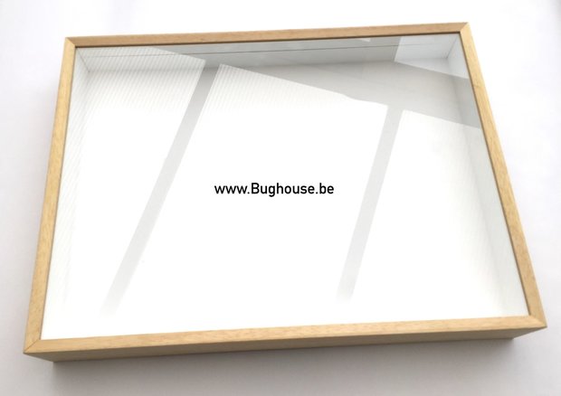 Museum insect box 30x40cm