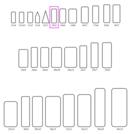 Étiquette d'insecte 14x5mm (100p) 