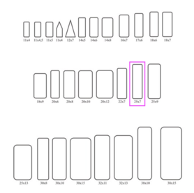 Étiquette d'insecte 25x7mm (100p) 