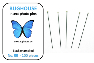 BUGHOUSE Insect Photo pins NR-00 (100 pieces) black rust proof steel 