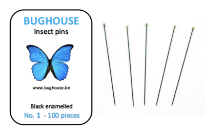 BUGHOUSE Insect pins NR-1 (100 pieces) black rust proof steel 
