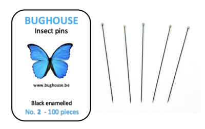 BUGHOUSE Insect pins NR-2 (100 pieces) black rust proof steel 