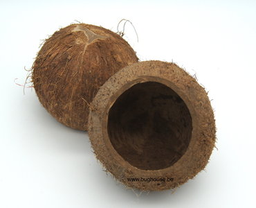 Open coconut Naturel 
